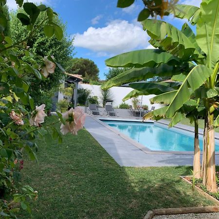 Maison M, Chambre Privee Acces Jardin Piscine Et Jacuzzi Pres De La Rochelle Λα Ροσέλ Εξωτερικό φωτογραφία